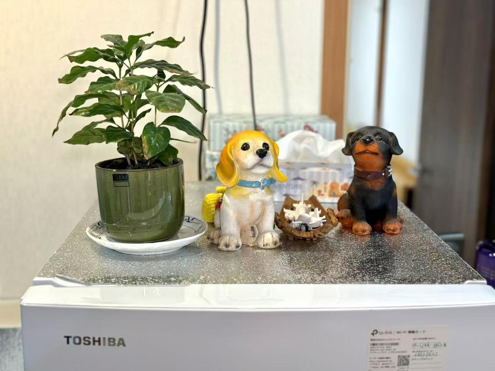 一戸建民泊 Tokyo St-Ar House 東京星宿 المظهر الخارجي الصورة
